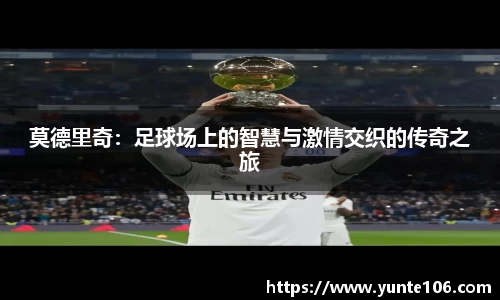 3377体育